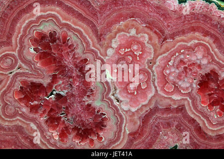 Rhodochrosite rosa rosa pietra rossa è un carbonato di manganese minerale con composizione chimica MnCO3 Foto Stock