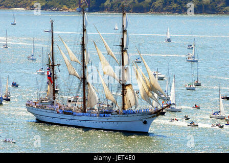 NRP Sagres, TALL SHIPS REGATTA lungo il fiume Tago (Rio Tejo). Lisbona, Portogallo Foto Stock