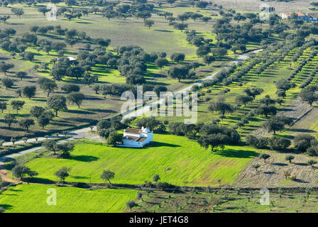 I campi nella regione di Monsaraz, Alentejo, Portogallo Foto Stock