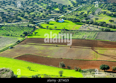 I campi nella regione di Monsaraz, Alentejo, Portogallo Foto Stock