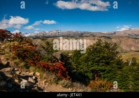 Trek fino a Mount Fitzroy dal patrimonio mondiale dell'Unesco El Chalten, Argentina, Sud America Foto Stock