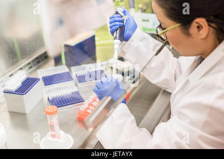 Lavorando nella cappa di aspirazione Foto Stock