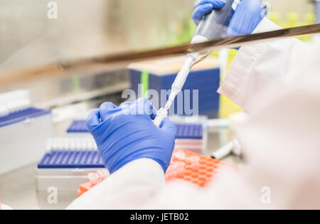 Lavorando nella cappa di aspirazione Foto Stock