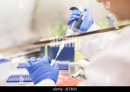 Lavorando nella cappa di aspirazione Foto Stock