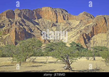 La Namibia, Kunene, regione di Damaraland, vicino Sesfontein, paesaggio di montagna, acacie, Foto Stock