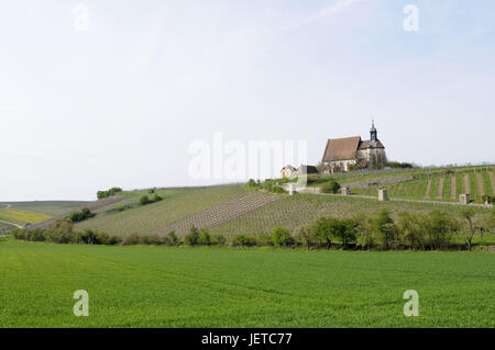 Band 'Maria nella vigna", Volkach, bassa Franconia, Baviera, Foto Stock