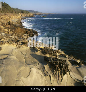Gli Stati Uniti, California, sale Point State Park, bile costa, surf, Nord America, costa ovest, paesaggi costieri, regione costiera, costa, rock, interruttori, uscire, solitudine, deserte, natura, mare, vista mare, larghezza, distanza, Horizon, destinazione Foto Stock