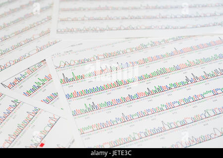 Il sequenziamento di Sanger risultato foglio Foto Stock