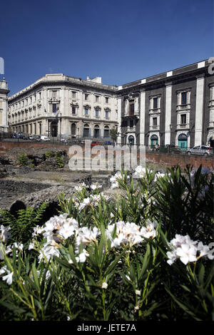 L'Italia, Sicilia, Catania, centro storico, Piazza Stesicoro, Anfiteatro Romano, Europa meridionale, città, case, edifici, anfiteatri, romana, architettura, struttura rimane, cultura, luogo di interesse, destinazione, turismo, Foto Stock