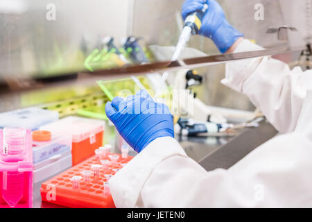 Lavorando nel contenitore di biosicurezza Foto Stock