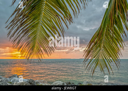 Tramonto sotto le palme a Fort Zachary Taylor Historic State Park in Florida Foto Stock