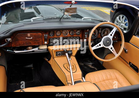 Jaguar cruscotto Foto Stock