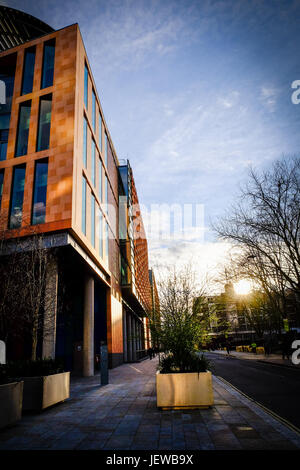 La Francis Crick Institute di Londra Foto Stock