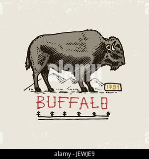 Set di incisi vintage, disegnati a mano, vecchio, etichette o badge per indiano o nativi americani. buffalo. Illustrazione Vettoriale