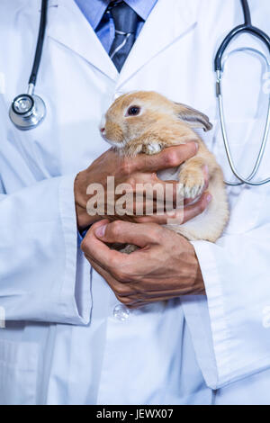 Un vet tenendo un coniglio in sue braccia Foto Stock