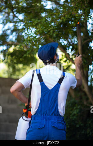 Vista posteriore del lavoratore manuale la spruzzatura su albero Foto Stock