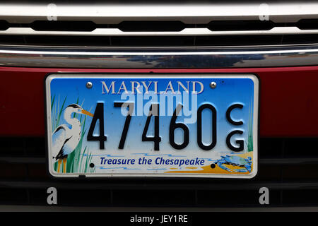 Decorate il Maryland membro auto piastra di licenza per incoraggiare le persone a fare tesoro della Chesapeake Bay e la sua flora e fauna, STATI UNITI D'AMERICA Foto Stock