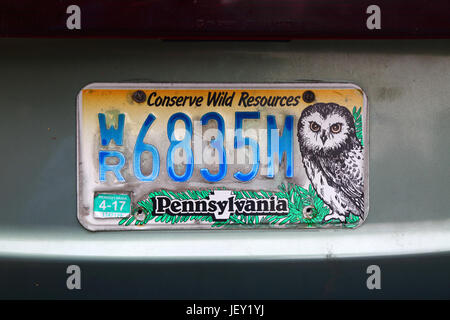 Decorate Pennsylvania State auto piastra di licenza per incoraggiare le persone a risparmiare risorse selvatiche, STATI UNITI D'AMERICA Foto Stock