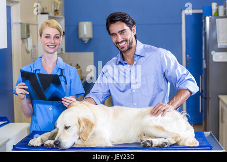 Donna vet e cani proprietario sorridente e posa Foto Stock