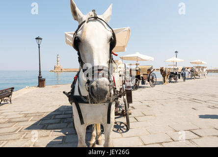 Cavalli e carrozze schierate in attesa di clienti turistici, cittadina di Chania, Creta, Grecia Foto Stock