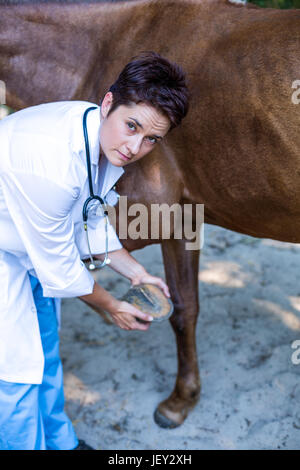 Ritratto di donna vet esaminando i cavalli zoccolo Foto Stock