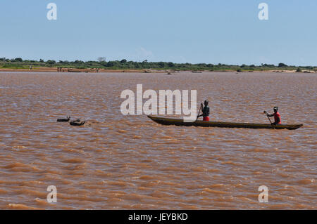 Viaggiando da zebù piroga sul fiume Tsiribihina, Belo sur Tsiribihina, Madagascar Foto Stock