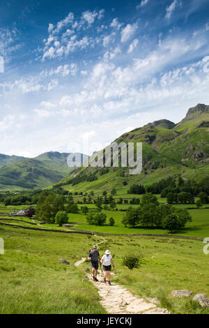 Regno Unito, Cumbria, grande Langdale, walkers sul modo di Cumbria percorso per Oak Howe da Langdale cadde Foto Stock