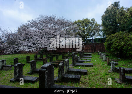 Il cimitero di Nagasaki Foto Stock