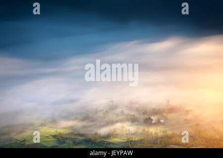 Bellissima alba vista dall'alto. Misty verde prato ricoperto di mattina nebbia e nuvole. Foto Stock