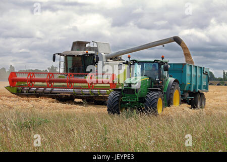 Macchina mietitrebbiatrice taglia il grano in un campo in Inghilterra rurale con il trattore e il rimorchio essendo riempito con grano Foto Stock