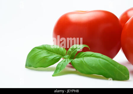 Close up di un rametto di basilico accoccolato contro un gruppo di pomodori rossi Solo un pomodoro è interamente in frame. Foto Stock