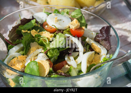 Una ciotola di insalata con uovo sodo, crescione, cipolle, pomodori, lattuga, su un tavolo esterno. Cene al fresco in estate. Regno Unito Foto Stock