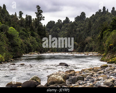 Whakapapa River a Owhango. Che scorre nel letto di boulder attraverso la foresta nativa su ripidi pendii del River Gorge, Tongariro foresta, Distict Ruapehu, New Zealan Foto Stock