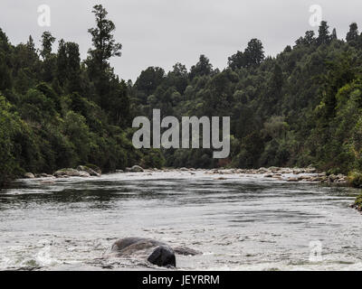Whakapapa River a Owhango. Che scorre nel letto di boulder attraverso la foresta nativa su ripidi pendii del River Gorge, Tongariro foresta, Distict Ruapehu, New Zealan Foto Stock