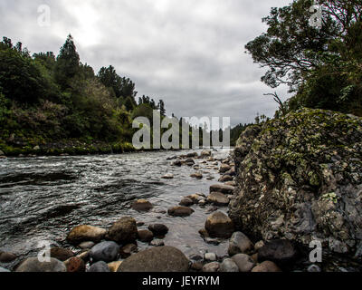 Whakapapa River a Owhango fluente nel letto di boulder attraverso la foresta nativa su ripidi pendii del River Gorge, Tongariro foresta, Distict Ruapehu, Nuova Zelanda Foto Stock