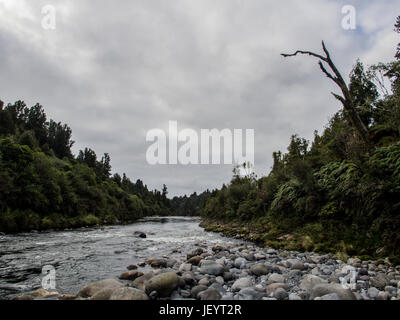 Whakapapa River a Owhango. Che scorre nel letto di boulder attraverso la foresta nativa su ripidi pendii del River Gorge, Tongariro foresta, Distict Ruapehu, New Zealan Foto Stock