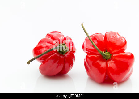 Red habanero peppers su uno sfondo bianco. Foto Stock