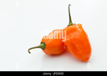 Orange habanero peppers isolati su sfondo bianco. Foto Stock