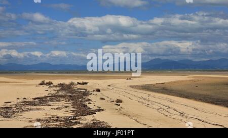 Driftwood a Marahau beach Foto Stock