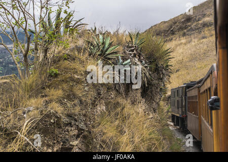 Nariz del Diablo Viaggio in treno Alausi Ecuador Foto Stock