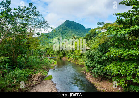 Little Creek, Upolo, Samoa, Sud Pacifico Foto Stock