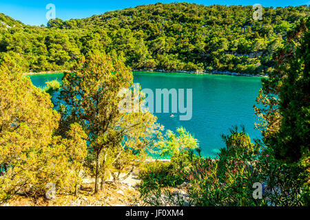 Lago di Veliko jezero sull'isola di Mljet in Croazia Foto Stock