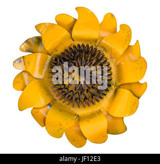 Girasole in metallo isolata contro bianco Foto Stock