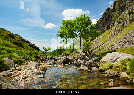 Afon Nant Peris, il fiume che scorre attraverso il robusto e scenic Llanberis passano in Snowdonia, Gwynedd, il Galles del Nord. Foto Stock