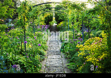 Le piante mature e arbusti in un giardino inglese, percorso e pergolato. Cotswold stone, viola aliums fioritura. Glouchestershire hotel giardini Foto Stock