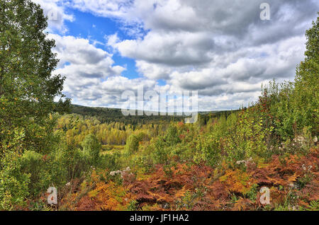 Colorato paesaggio autunnale nella foresta. Foto Stock