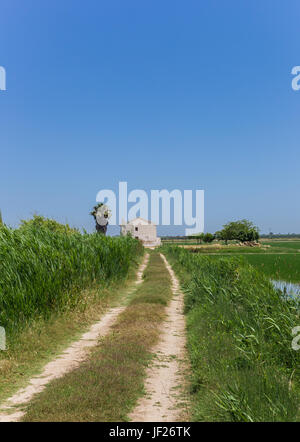 Strada sterrata che conduce alla casa bianca in campi di riso di La Albufera, Parco Nazionale, Spagna Foto Stock