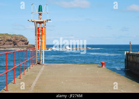 Luce del porto sul molo, ringhiere, il mare e le scogliere a Eyemouth, Berwickshire Foto Stock