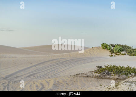 Parco Nazionale di Jericoacoara Dune Foto Stock