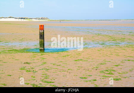 Polo di spiaggia con parte superiore rossa, distanza marcatore per il litorale di base che indica la linea di marea del mare del Nord, Goeree, South Holland, Paesi Bassi Foto Stock